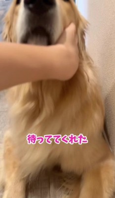 可愛い反応にホッコリ