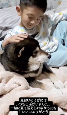 優しいまなざし