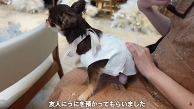 お友達のお膝に乗って式に参列