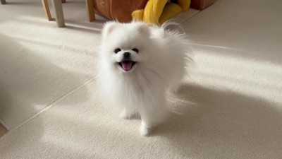 半年ぶりに実家に帰省