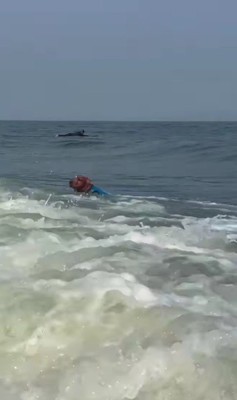 泳ぐのもお手の物