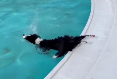 後ろ足が置き去りに！！