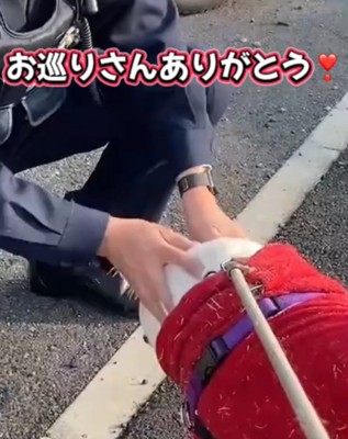 犬を撫でる警察官