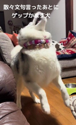 「食べたいよ~!!」