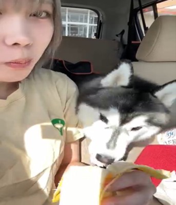 バナナを食べる犬2