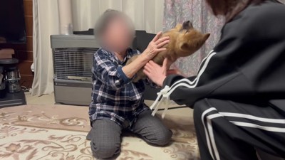 愛が止まらない