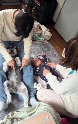 わんこにも効果てきめん!?