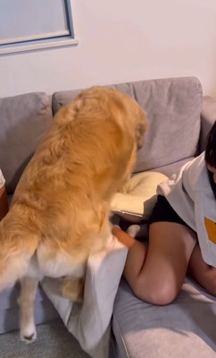 力づくでよじ登り…