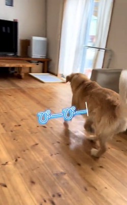 ぴーぴー鳴くそなくん