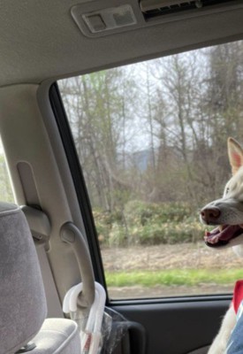 ご機嫌なゆき丸ちゃん