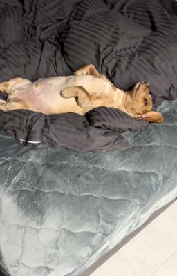 より深い眠りへ…