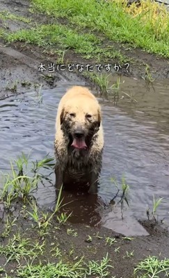 ちあちゃん＆ひまわりちゃんのハプニング5