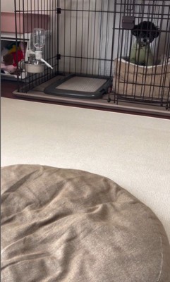 さくらちゃんのハウス成功3