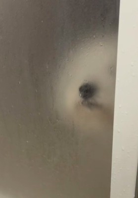 お風呂前で待つおもちくん