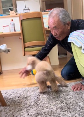 ボール遊びするおじいちゃんと犬2