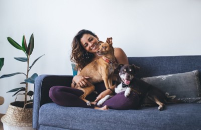 犬たちと触れ合う女性