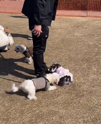 怒られる陽菜ちゃん