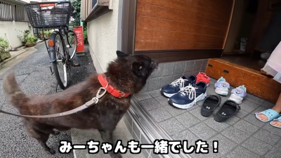 再会に大喜び♪