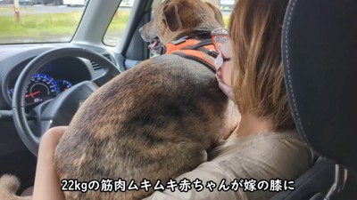 「ママ、助けて~」とお膝の上へ