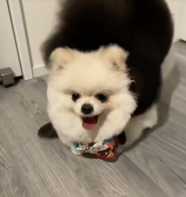 顔を挟まれても笑顔