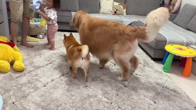 仲睦まじい3兄妹