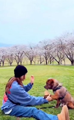 1通のメッセージが…