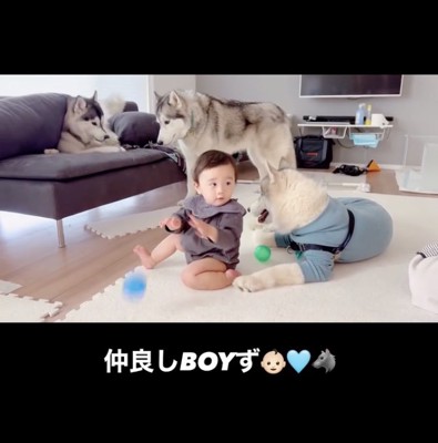 ボール遊びを始めた赤ちゃん