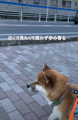 少しずつ歩み寄る