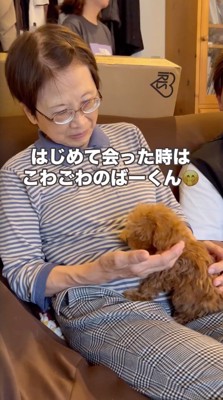 おそるおそる犬を撫でる女性