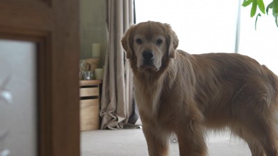 ムスッとしたお顔で拒否