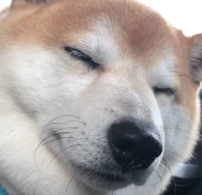 一転して虚無顔に…