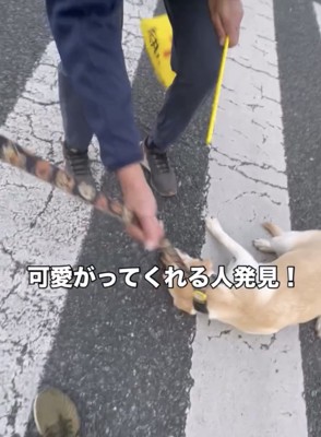 リードを持って犬を誘導する人