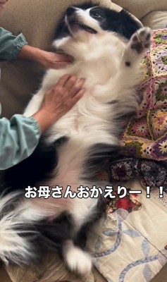 マリちゃんの熱烈歓迎6