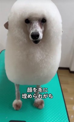 顔埋もれがち…