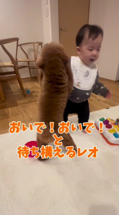 ぶつかっちゃった!!