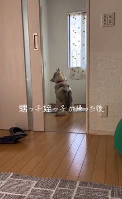 甥っ子と姪っ子が帰った後の神ちゃん2