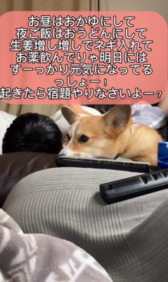 体調不良の男の子に付き添うチリちゃん8