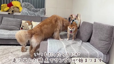 「もう少し静かにしてね」