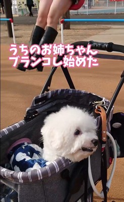 ミルクくんのナイスリアクション