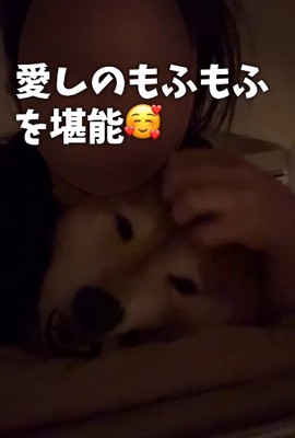 幸せそうな表情に