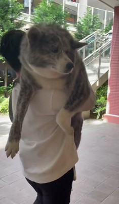 「本当に帰るの…？」