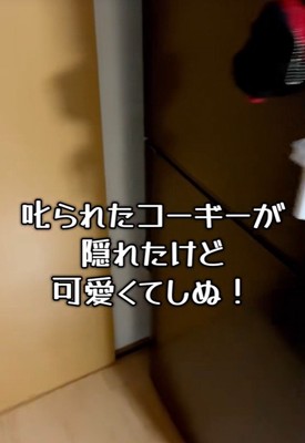 おもちちゃんを叱ったら…