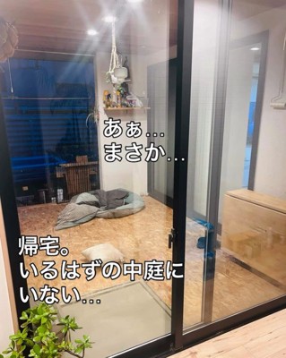 まさかの場所にいるレトちゃん2