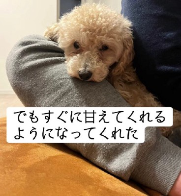 すぐに心を開いたそう