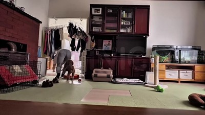 出て行ったと思ったら…