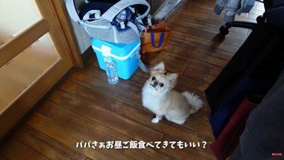 外出することを伝えたら…