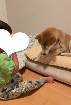 「かーしーて」