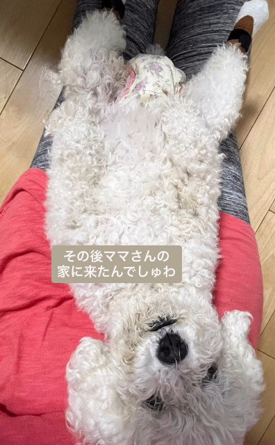 投稿主さんに繋がった