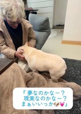 ぴったり寄り添う犬と人