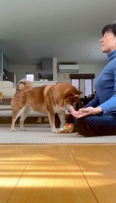 あぐらをかいて深呼吸する女性